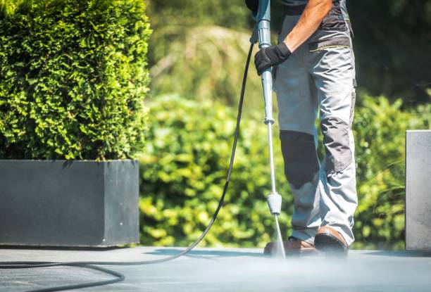 Solar Panel Cleaning in Vernon, TX